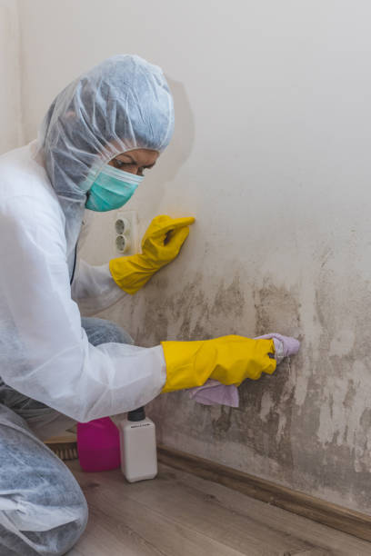 Best Air Quality Testing for Mold Spores  in Glen Rose, TX
